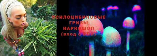 хмурый Нягань