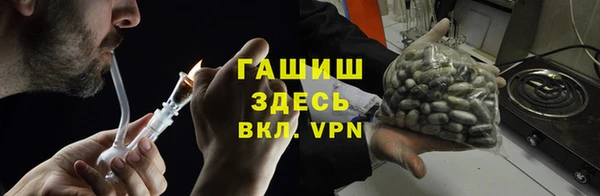 соль ск Няндома