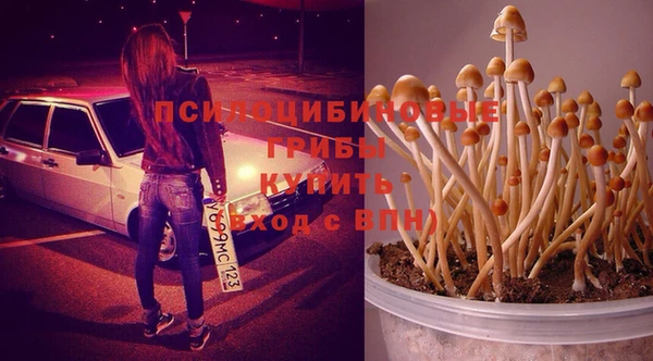хмурый Нягань