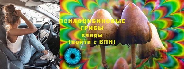 экстази Новозыбков